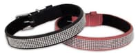 Dog Collars & Leashes - Collars